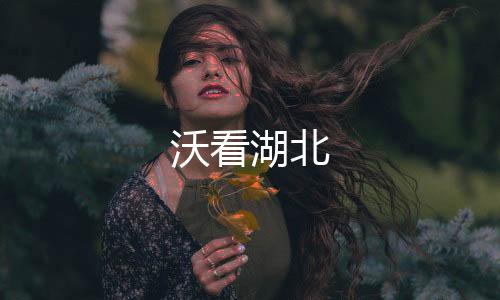 沃看湖北下载