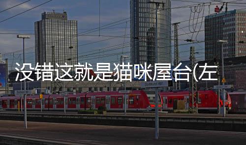 没错这就是猫咪屋台(左様！こちらネコ屋台でござる)下载
