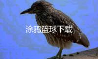 涂鸦篮球下载