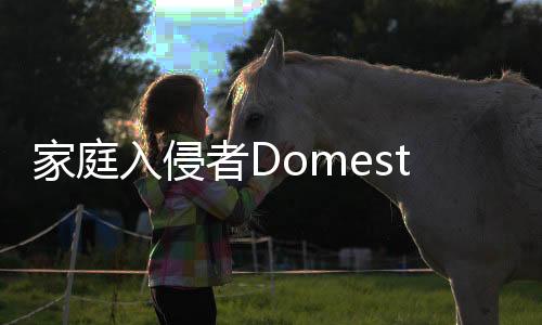 家庭入侵者Domestic Intruder安卓版下载
