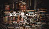 安安车生活app