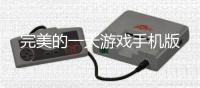 完美的一天游戏手机版
