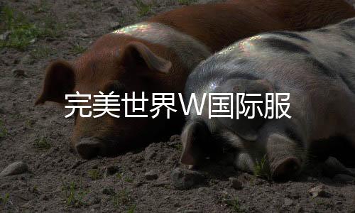 完美世界W国际服下载