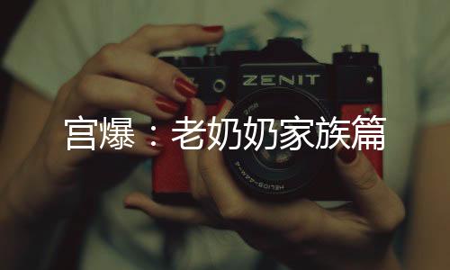 宫爆：老奶奶家族篇下载