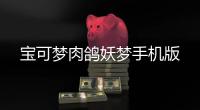 宝可梦肉鸽妖梦手机版