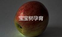 宝宝树孕育
