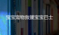 宝宝宠物救援宝宝巴士
