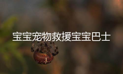 宝宝宠物救援宝宝巴士下载