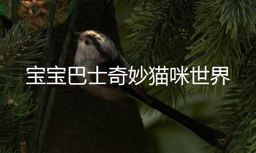 宝宝巴士奇妙猫咪世界下载