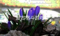 复古格斗游戏