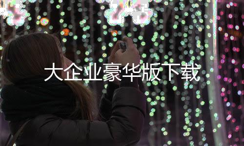 大企业豪华版下载下载