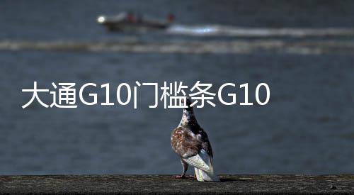 大通G10门槛条G10迎宾踏板上汽大通G10后护板大通G10改装装饰配件下载