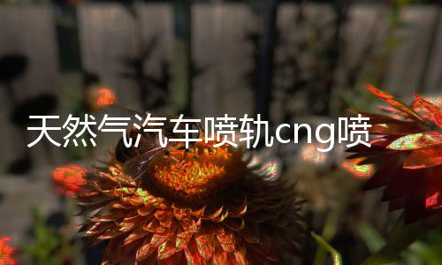 天然气汽车喷轨cng喷轨油改气燃气改装配件高速静音共轨头喷气嘴下载