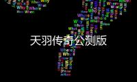 天羽传奇公测版