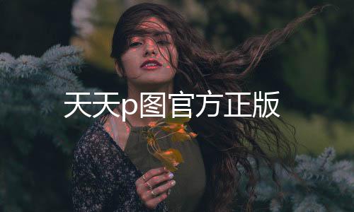 天天p图官方正版下载