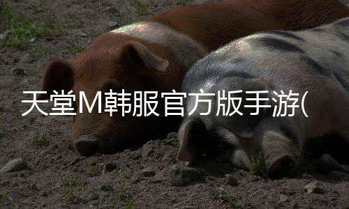 天堂M韩服官方版手游(리니지M)下载