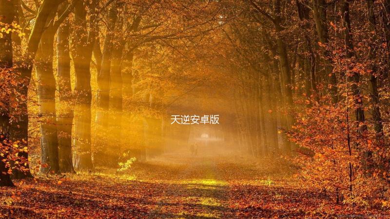 天逆安卓版下载