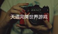 天道完美世界游戏