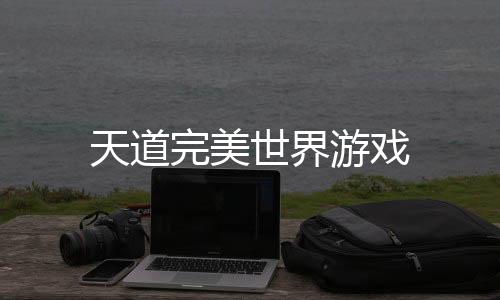 天道完美世界游戏下载