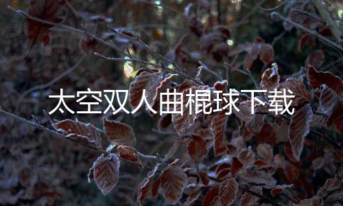 太空双人曲棍球下载下载