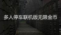 多人停车联机版无限金币破解版2024