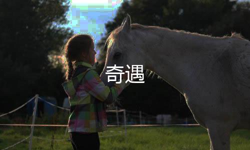 奇遇下载