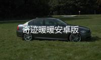 奇迹暖暖安卓版
