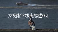 女鬼桥2怨鬼楼游戏