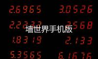 墙世界手机版