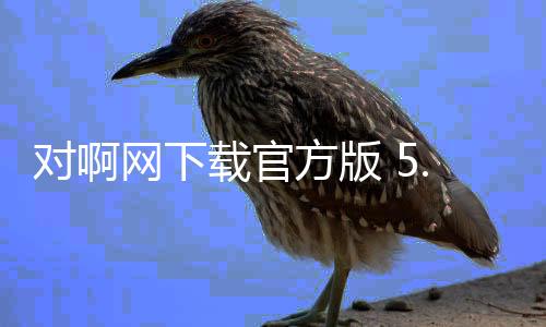 对啊网下载官方版 5.10.3下载