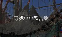 寻找小小欧吉桑