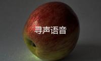 寻声语音