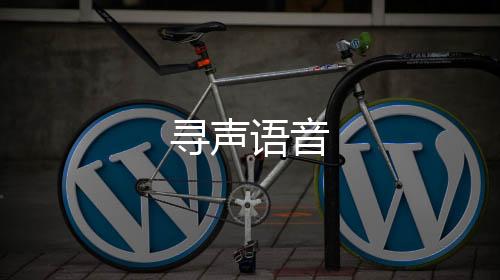 寻声语音下载