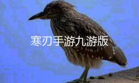 寒刃手游九游版