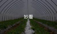妙看