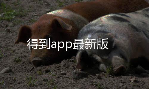 ProKnockout智能抠图P图软件下载