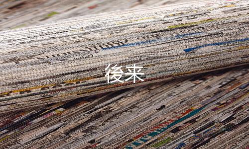 後来下载