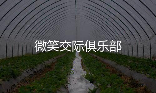 微笑交际俱乐部下载