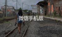 微信手机版