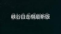 峡谷自走棋最新版