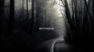 崩坏3手游官方版