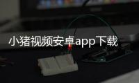 小猪视频安卓app下载 1.1.2
