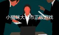 小猫咪大城市正版游戏