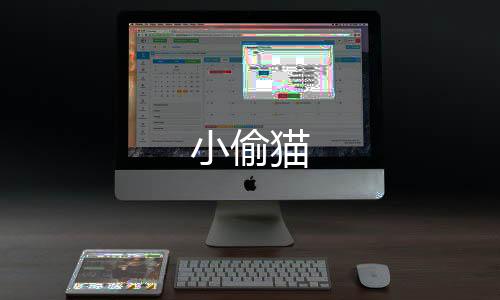 小偷猫下载