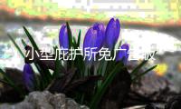 小型庇护所免广告版