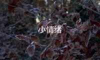 小情绪