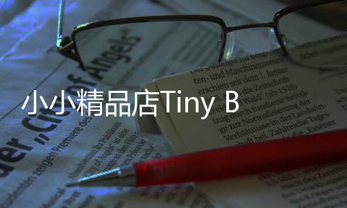 小小精品店Tiny Boutique最新版下载