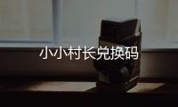 小小村长兑换码