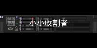 小小收割者
