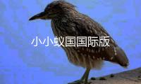 小小蚁国国际版